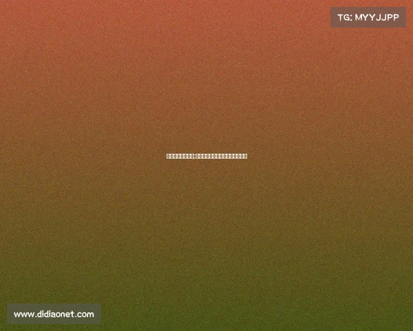 投入电子竞技行业;热血铸就荣耀：电竞征途再启新篇