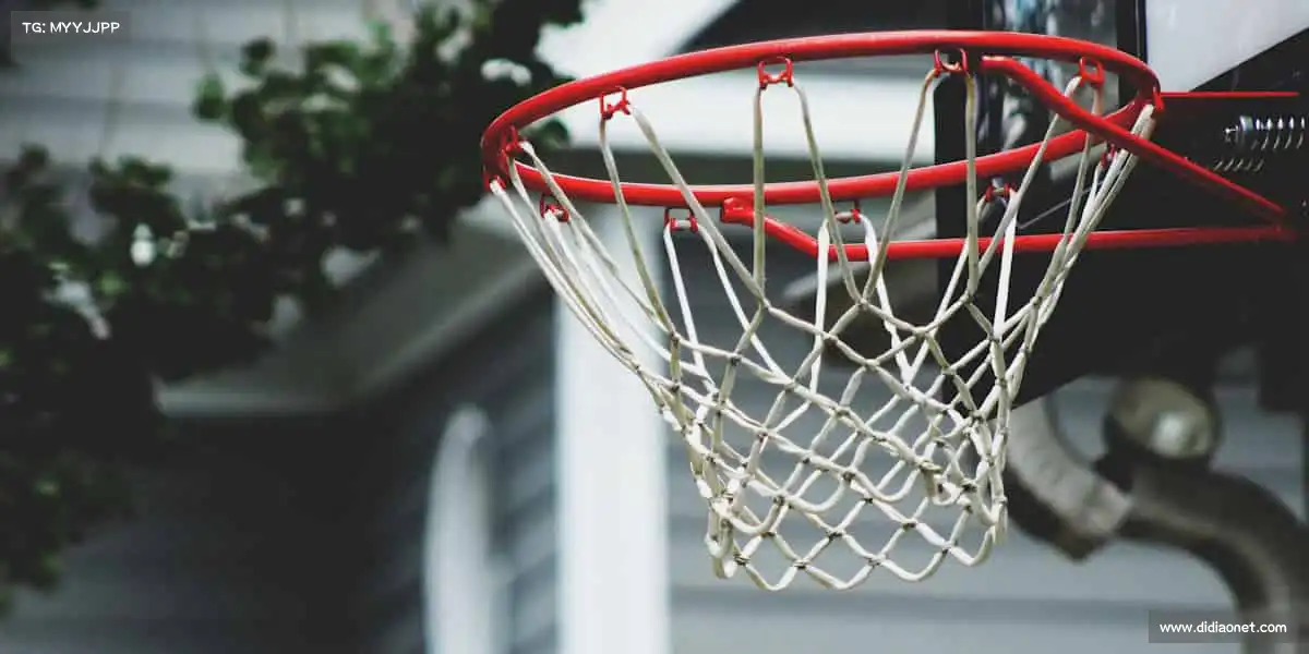 BC贷网址入口——汗水浇筑热爱，拼搏成就精彩！🏋️‍♀️